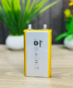 Electrozonbd Bigmax-10000mAh-Polimer-Battery